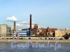 Пироговская наб., д. 17 (левая часть). Комплекс производственных зданий. Фото апрель 2010 г.