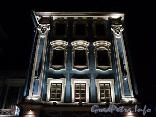 Петроградская наб., д. 2-4. Северный фасад в ночной подсветке. Фото январь 2011 г.