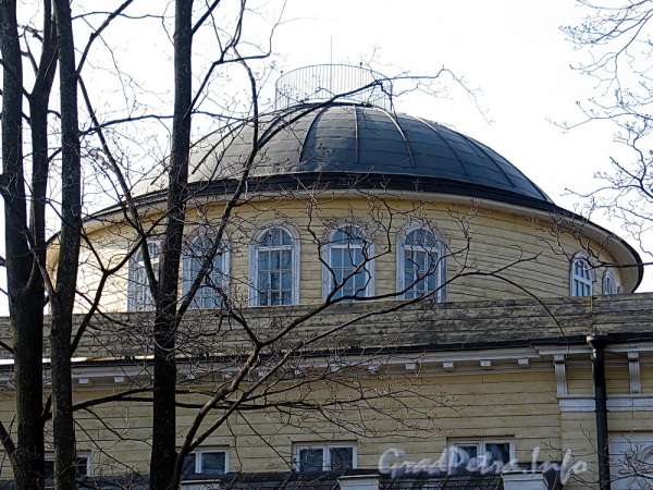 Наб. Малой Невки, д. 11. Пологий сферический купол на невысоком барабане. Фото апрель 2011 г.