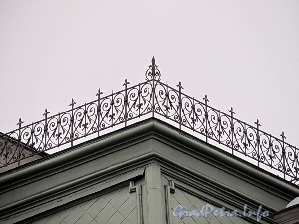 Наб. Робеспьера, д. 22. Фрагмент декоративной решетки на башенке, венчающей здание. Фото ноябрь 2011 г.