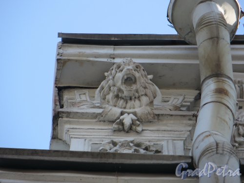 Наб. реки Фонтанки, дом 150. Морда льва на карнизе фасада со стороны набережной. Фото 28 мая 2013 г.