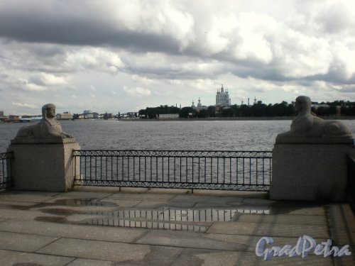 Сфинксы двухъярусной каменной террасы-пристани напротив бывшей усадьбы Кушелевых-Безбородко. Фото июнь 2009 г.