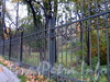 Ограда парка Лесотехнической академии. Фото октябрь 2010 г.