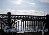 Фрагмент ограждения Троицкого моста. Фото май 2009 г.