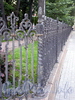 Ограда Румянцевского сада. Фото июль 2009 г.