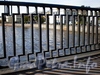 Фрагмент ограды Храповицкого моста. Фото сентябрь 2009 г.
