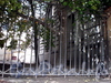 Фрагмент ограды между домами 31 и 35 по Большому проспекту В.О. Фото август 2009 г.