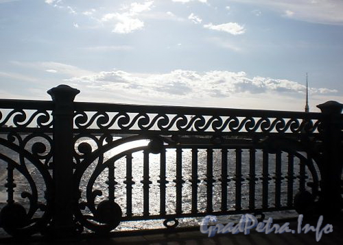 Фрагмент ограждения Троицкого моста. Фото май 2009 г.