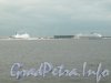 Новый порт. Вид с Финского залива.