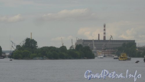 Серный остров. Вид с Тучкова моста. Фото 26 июня 2012 г.