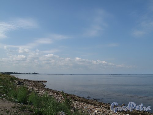 Канонерский остров. Финский залив и берег острова. Фото август 2010 г.