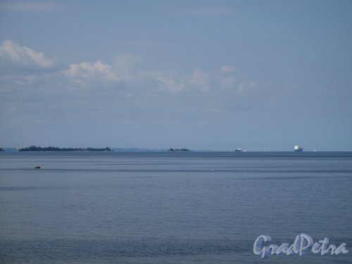 Канонерский остров. Финский залив с берега острова. Фото август 2010 г.