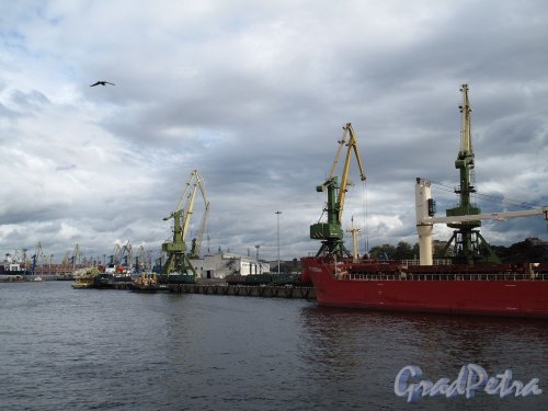 Гутуевский остров. Морской порт со стороны Морского канала. Фото октябрь 2011 г.