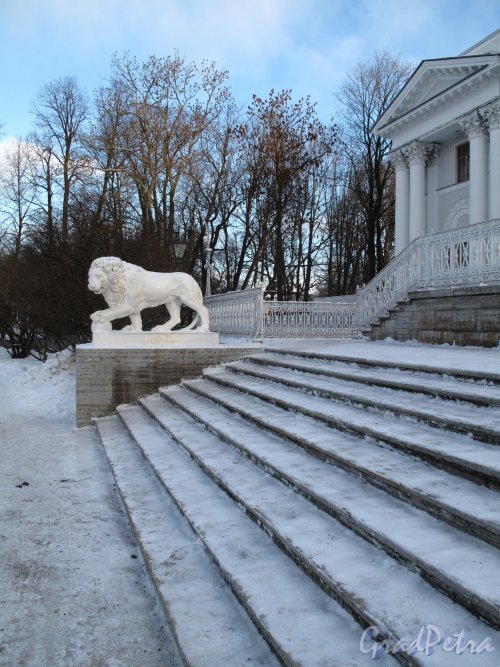 Елагин остров. Терраса Елагиностровского дворца. Фото январь 2013 г.