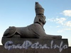 Университетская набережная. Сфинкс на гранитной пристани напротив здания Академии художеств. Фото июль 2009 г.