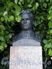 Памятник С.М. Кирову на Елагином острове. Фото июнь 2009 г.