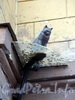 Мини-памятник «коту Елисею» на доме 8 по Малой Садовой улице. Фото июль 2004 г.