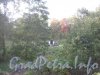Волковское кладбище. Вид на один из памятников кладбища с Волковского пр. в районе дома 16 . Фото 18 сентября 2012 г.