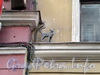 Мини-памятник «кошке Василисе»  на Малой Садовой улице. Фото март 2009 г.