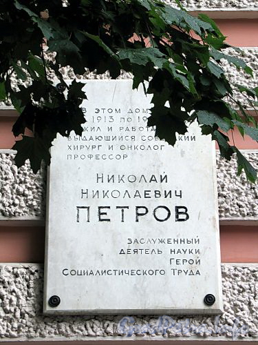 Кирочная ул., д. 41. Мемориальная доска Н.Н. Петрову. Фото сентябрь 2010 г.