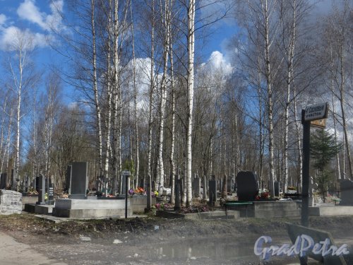 Южная кладбище. 2-й Вишневый участок со стороны 3-го Кедрового участка и 4-го Соснового участка. Фото 1 мая 2013 года.