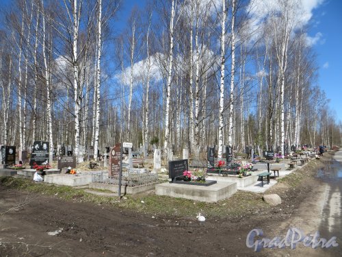 Южная кладбище. 3-й Кедровый участок со стороны 2-го Соснового участка. Фото 1 мая 2013 года.