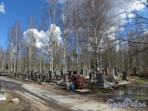 Южная кладбище. 4-й Сосновый участок со стороны 1-го Кедрового участка. Фото 1 мая 2013 года.