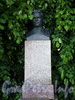 Памятник С.М. Кирову на Елагином острове. Фото июнь 2009 г.