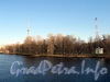 Лопухинский сад. Вид с Каменноостровского моста. Фото апрель 2011 г.