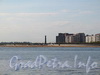 Вид на пляж парка 300-летия Петербурга от Крестовского острова. Фото май 2011 г.