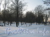 Парк «Новознаменка». Общий вид в сторону ул. 2-ой Комсомольской от ул. Пограничника Гарькавого. Фото февраль 2012 г.