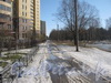 Проезд параллельно границе парка Александрино и новостройкам по ул. Лёни Голикова. Фото март 2012 г.