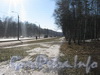 Парк «Александрино» и пр. Ветеранов. Фото март 2012 г.