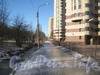 Проезд параллельно границе парка «Александрино» напротив дома 75, корпус 2 по пр. Ветеранов. Фото март 2012 г.