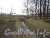 Парк «Новознаменка». Начало парка со стороны Петергофского шоссе и вид в сторону ул. Чекистов. Фото апрель 2012 г.