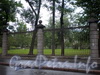 Ограда Выборгского сада, Фото 2008 г.