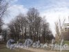 Перспектива Заневского парка от Гранитной улицы в сторону Рижской улицы. Фото апрель 2011 г.