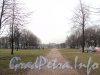 Главная аллея Заневского парка в створе Рижской улицы. Фото апрель 2011 г.