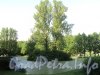 Московский Парк Победы. Квадратные пруды. Фото июнь 2010 г.