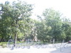 Сквер на ул. Моисеенко около д. 26. Фото 2008 г.