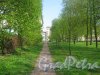 Парк (сад) Кирьяново. Вид в сторону пр. Стачек. Фото 18 мая 2013 г.