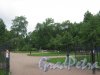 Сад Сан-Галли. Вид с ул. Черняховского. Фото 12 июня 2013 г.