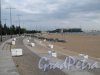 парк 300-летия Петербурга. Пешеходная галерея с видом на Крестовский остров. Фото август 2013 г.