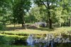 Гатчинский (Дворцовый) парк. Водный лабиринт в современном состоянии. Фото август 2013 г.
