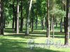 парк Сосновка. Вид одного из газонов. Фото август 2005 г. 