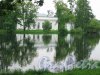 Екатерининский парк (г. Пушкин). Зал на острове. Фото август 2005 г.