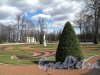 Екатерининский парк (г. Пушкин). Большой дворец. Регулярный сквер перед входом. Фото май 2012 г.