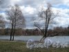 Екатерининский парк (г. Пушкин). Большое озеро и Адмиралтейство. Фото май 2012 г.