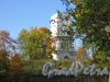 Александровский парк (г. Пушкин). Белая башня. Фото сентябрь 2007 г.