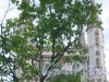 парк «Александрия». Церковь Александра Невского (Капелла). Фрагмент фасада. Фото сентябрь 2006 г.